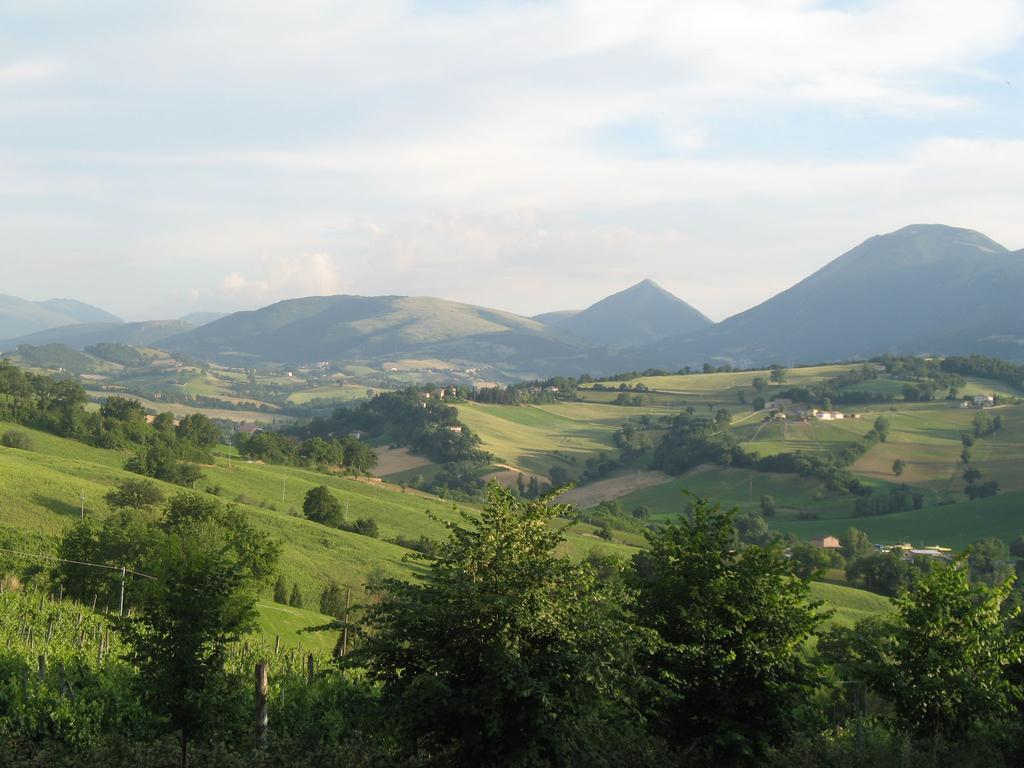 Locanda Dell'Istrice Camerino Room photo
